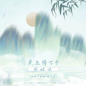 天上掉下个林妹妹