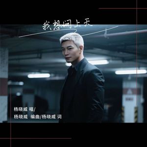 我想问上天