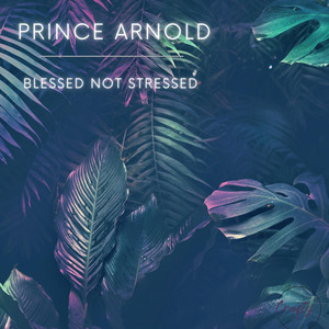 Blessed Not Stressed