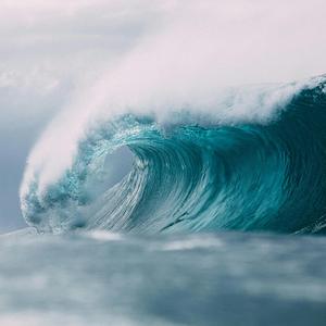 OLAS
