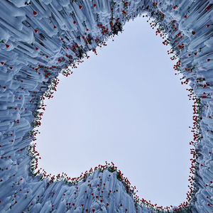 相爱却无奈分开（第二版）