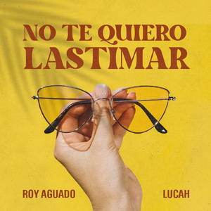 No Te Quiero Lastimar