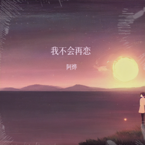 我不会再恋
