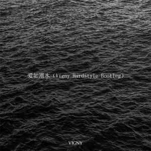 张信哲-爱如潮水（Vigny remix）