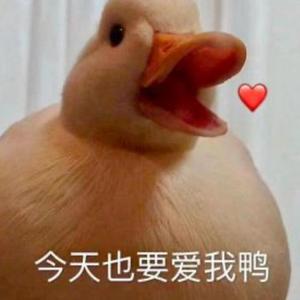 月食_冲鸭_到处灰（翻自 丁世光）