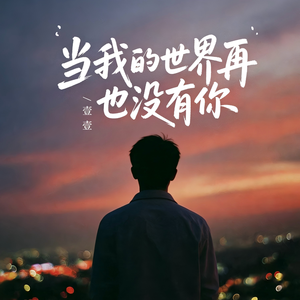 当我的世界再也没有你_伴奏