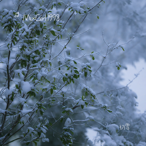 初雪 伴奏