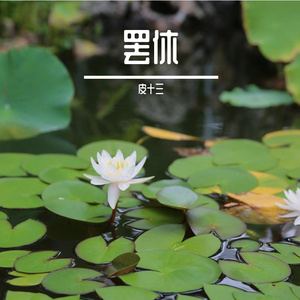 流着泪说分手 口琴版（翻自 群星）