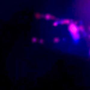 Redda (rip zo' (remix&reprod)
