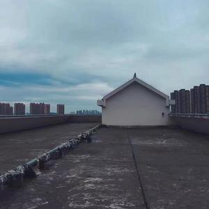 文艺气质的朋克青年