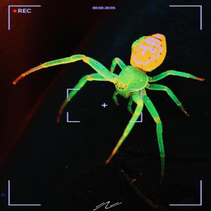 Bank Account Slowed - Remix