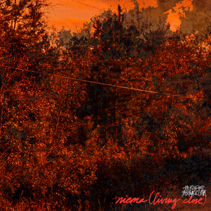 Niema (Living Close)