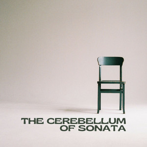 The Cerebellum of Sonata