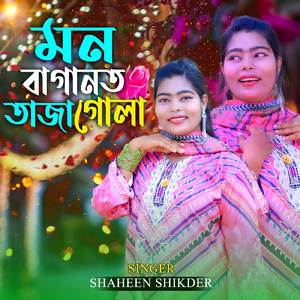 মন বাগানত তাজা গোলাপ