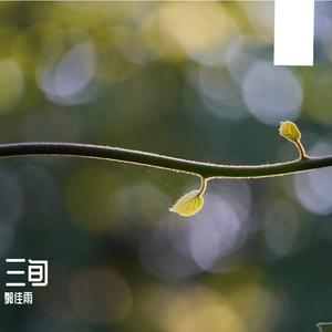 谭维维-如果有来生（男生版）（郭佳雨 remix）