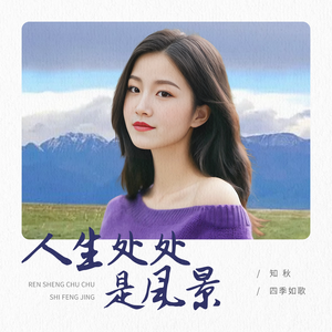 人生处处是风景（DJ版）