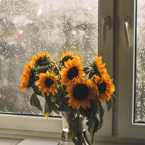 【Demo】从都花园