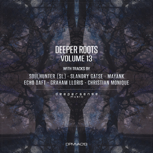 Feel the Darkness (Christian Monique Remix)