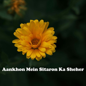 Aankhon Mein Sitaron Ka Sheher