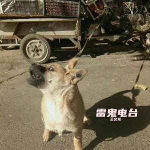 喂 亲爱的 你在干嘛呢 说话呀 说话