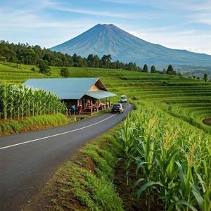 have you ever seen the rain (nightcore)