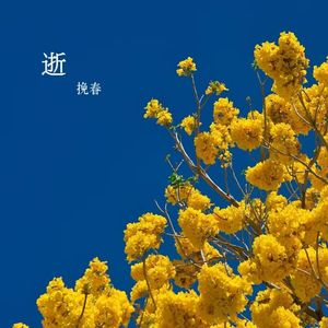 逝（粤语版《逝》）