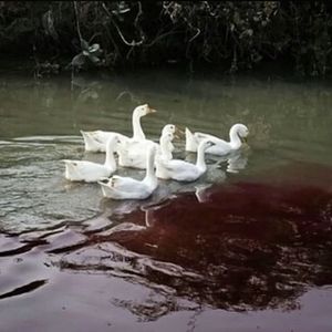 你喜欢很多人围着你