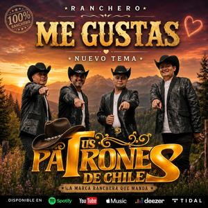 Me Gustas