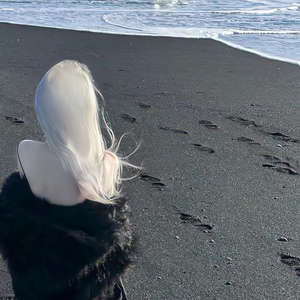 登高方能望远方