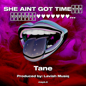 SHE AINT GOT TIME