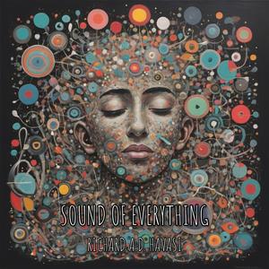 Sound Of Everything (VIOLAted )