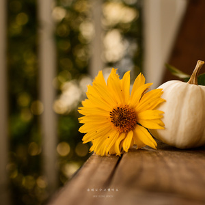 올해도 수고했어요