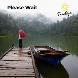 Please Wait