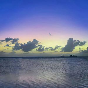 撬颜懒繁覆缮抗棵橇掖冶