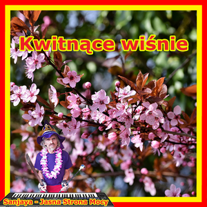 Kwitnące Wiśnie