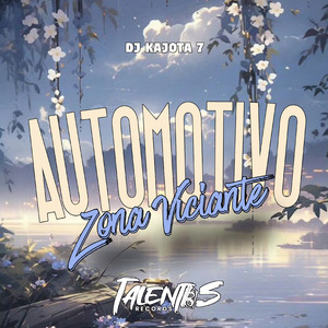 AUTOMOTIVO ZONA VICIANTE