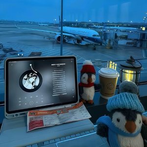 《能让我惦记的只有你》