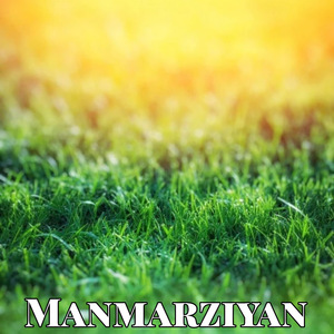 Manmarziyan
