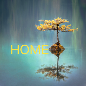 Reach Your Innerself