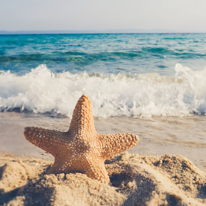 Came With Fire, Vol. 9 (The Grootman Wave)