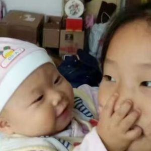 云端树下的守护