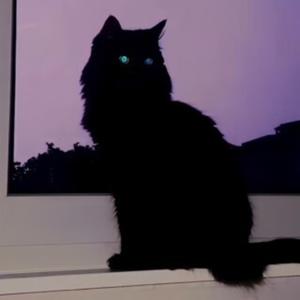 Wassup (feat. 159F**KOFF & LIL MORPY)