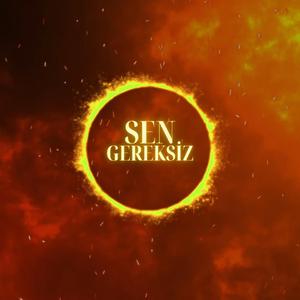 Sen Gereksiz