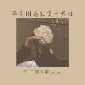 欢迎使用原声 (DJ版)