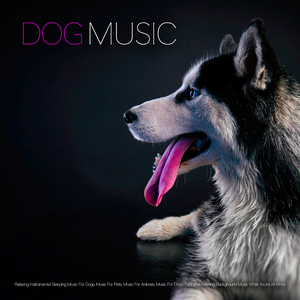 Music For Dogs
