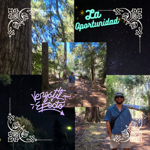 LA OPORTUNIDAD