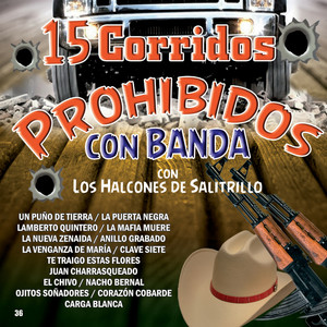 Ojitos Sonadores