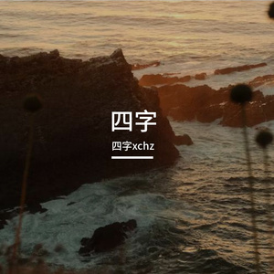 十三与十四的胶片