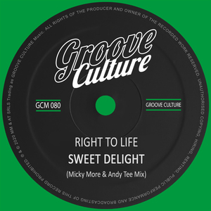 Sweet Delight (Radio Edit)