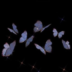 宝贝（In a Day）